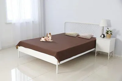 Image de Couverture réversible imperméable marron 208 x 208 cm pour chiens et chats