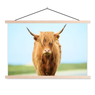 Produktbild von MuchoWow® Textilposter Schottischer Highlander - Haare - Gras 60x40 cm mit holzfarbenen Rahmen - Bilder