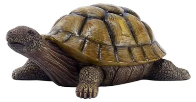 Produktbild von Gartenfigur Schildkröte aus Kunstharz – Realistische 3D Tierfigur für Garten, Teich und Balkon – Wetterfeste Dekofigur für den Außenbereich