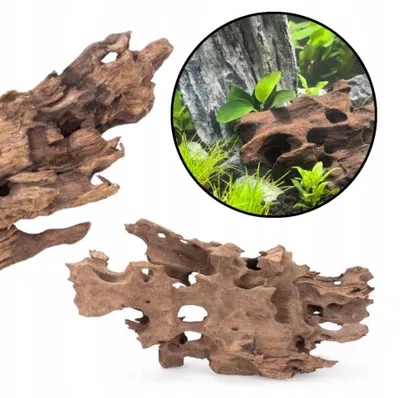 Image de Racine décorative pour aquarium, bois de dragon naturel, 25-35 cm