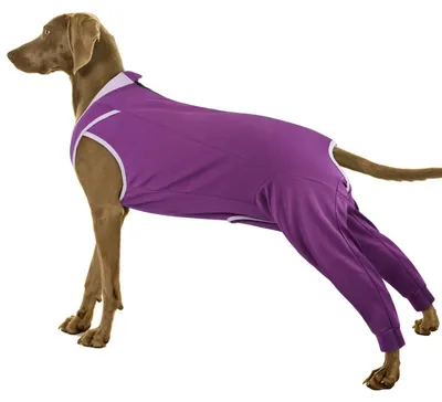 Imagen del producto de Traje postoperatorio para perros - Protección después de la cirugía - Morado - Talla XXL