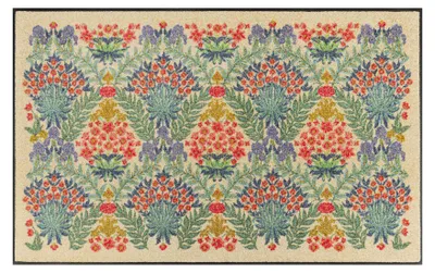 Produktbild von Floornovo Schmutzfangmatte Trend Design - 120 cm x 75 cm - Tagesblumen - waschbare Fußmatte Innen und übderdachte Außenbereiche