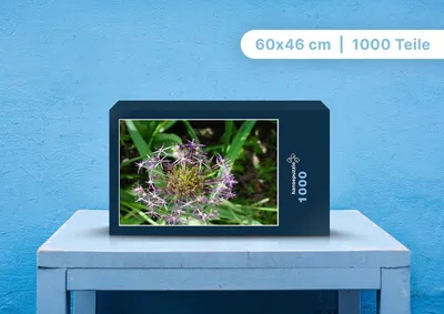 Produktbild von hansepuzzle 98824 - Blühen Puzzle, 1000 Teile, Natur, 60,0 x 46,0cm mit hochwertiger Aufbewahrung, Kartonbox und wiederverschließbarem Beutel
