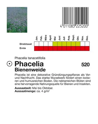Produktbild von Phacelia Bienenweide