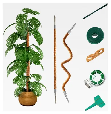 Produktbild von 2 Stück Monstera Rankhilfe Pflanzenstütze Biegsame Rankhilfe für Zimmerpflanzen aus Kokosfasern Moosstab 60cm/70cm/100cm/120cm (100cm+100cm)