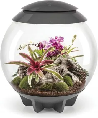 Produktbild von Dekoratives terrarium 60l mit grauem rahmen Oase AIR 60 GREY