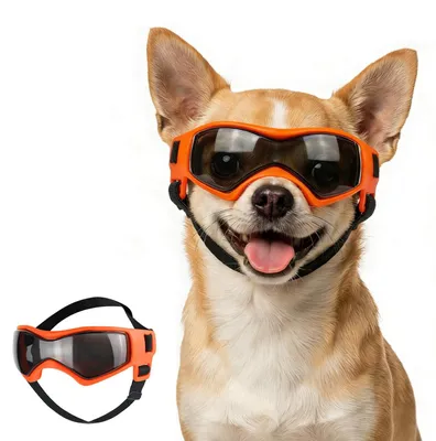 Produktbild von Sonnenbrille für sehr kleine Hunde mit UV-Schutz