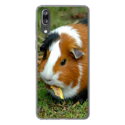 Produktbild von MuchoWow® Handyhülle Schutzhülle Hülle für Huawei P20 Meerschweinchen draußen Silikon Softcase Handy Hülle - Hardcover