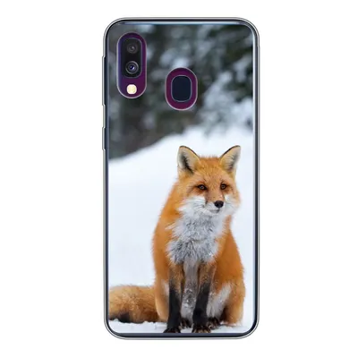 Produktbild von MuchoWow® Handyhülle Schutzhülle Hülle für Samsung Galaxy A40 Fuchs - Schnee - Wald Silikon Softcase Handy Hülle - Handy-Tasche