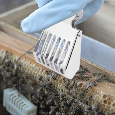 Zdjęcie produktu dla Klips do chwytania królowej pszczół ze stali nierdzewnej, klips do klatki dla królowej, narzędzie do chwytania pszczół dla pszczelarzy