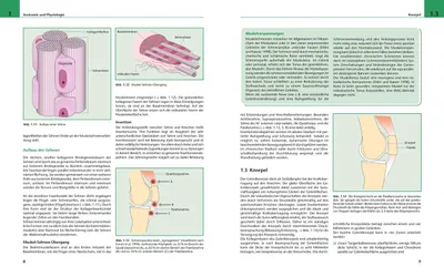 Obrázek produktu pro Bildatlas medizinisches Gerätetraining: Grundlagen Anatomie Training