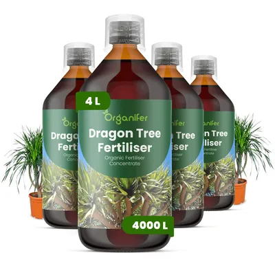 Obrázek produktu pro Dracéna Tekuté Hnojivo 4x1 L – 2-1-8 NPK – Pro Zelené Rostliny – Pro Zdravé Listy & Silný Růst – Podporuje Kořeny & Vitalitu – Organifer