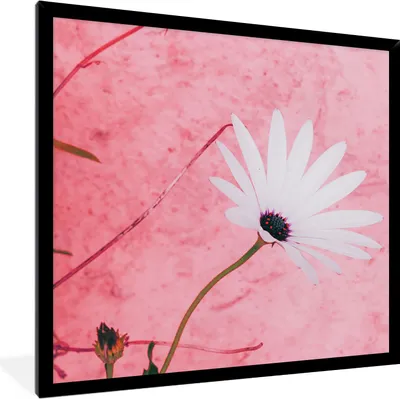 Produktbild von MuchoWow® Gerahmtes Poster Blumen - Rosa - Vintage 40x40 cm - Poster mit Schwarzem Bilderrahmen Wandposter Rahmen Foto Bilder - Mit Rahmen - Wanddekoration Schlafzimmer