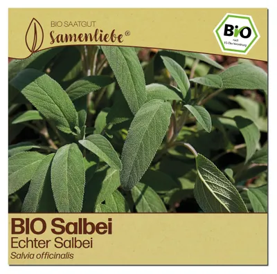 Produktbild von Samenliebe  Salbei Samen | Echter Salbei - winterhart & mehrjährig - samenfestes  Saatgut