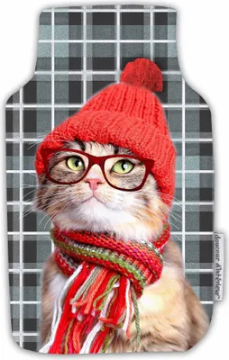 Image de Housse de bouillotte Chat a lunettes
