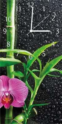 Produktbild von Wallario Design Wanduhr bedruckt, Größe 30 x 60 cm, Motiv: Bambus und pinke Orchidee auf schwarzem Glas mit Regentropfen