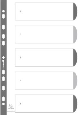 Image de Exacompta 1105E Intercalaires numériques à 10 onglets, format A4, blancs