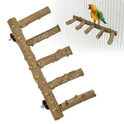 Zdjęcie produktu dla Stojak dla papug falistych, naturalne drewno, 31 cm, zestaw 2 sztuki