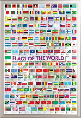 Image de Educational - Éducation - Affiches - Drapeaux du monde + cadre interchangeable, Shinsuke® Maxi aluminium argenté, vitre acrylique