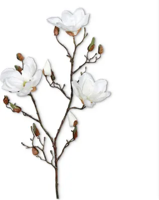 Imagen del producto de Magnolia de Kunstzweig