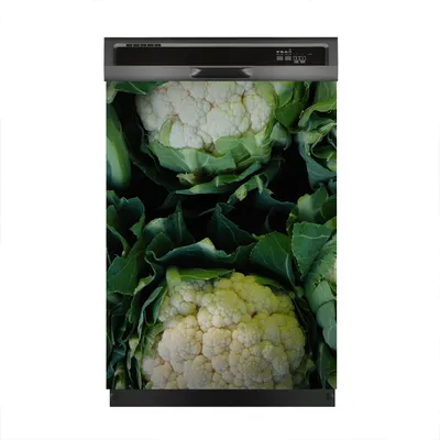 Produktbild von Magnete Dekorative 60x80 cm Küche Magnetmatte Spülmaschine - Blumenkohlblüten Gemüse