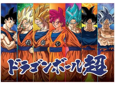 Image de Puzzle dragon ball z evolution san goku / sangoku 300 pièces - collection manga - educa - 19188