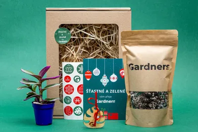 Obrázok produktu pre Gardners Vánoční dárková sada - Set Tradescantia albiflora NANOUK a substrát