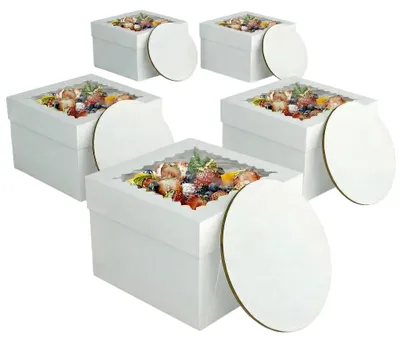 Productafbeelding van Taartvormen met kijkvenster en taartplaten - Extra hoog voor drip cakes - 5 stuks - 25x25x20 cm - Wit