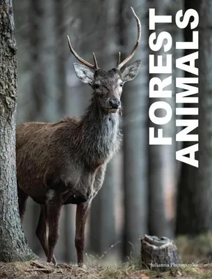 Obrázok produktu pre Forest Animals