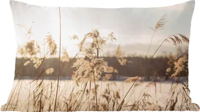 Produktbild von MuchoWow® Zierkissen Sofakissen Wohnzimmer Dekokissen 50x30 cm Wasser - Pampasgras - Pflanzen - Wohnzimmerdekoration - Polster mit Photo