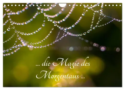 Produktbild von ... die Magie des Morgentaus... (Wandkalender 2027 DIN A4 quer), CALVENDO Monatskalender