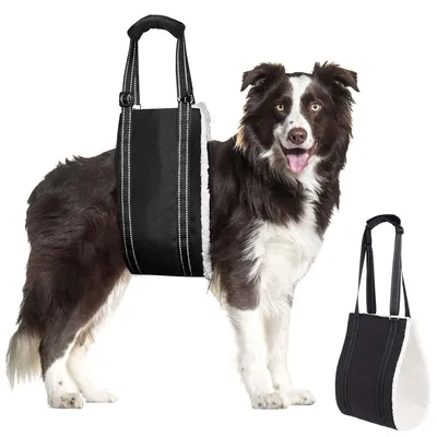 Produktbild von Tragehilfe Hund, Einstellbare Hunde Tragehilfe für die Unterstützung Von Behinderten und Älteren Hunden,um Sicherheitsunterstützung für Kleine,53x16cm