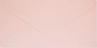 Immagine prodotto di Buste color salmone Dl 80g 10 pz