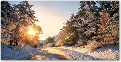 Produktbild von Tulup Glas-Bild -140x70- Wandkunst Dekorative Wand für Küche & Wohnzimmer - Landschaften - Straße Winterwald - Gelb