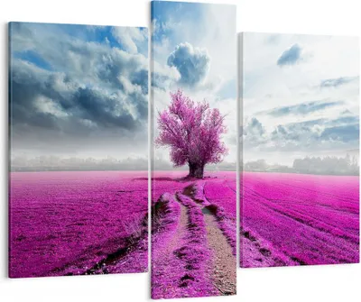 Produktbild von Bild auf Leinwand - Leinwandbild - Heidefeld Baum Wolken Landschaft - 95x80cm - Wand Bild - Wanddeko - Leinwanddruck - Bilder - Kunstdruck - Wanddekoration - Leinwand bilder - Wandkunst - CB95x80-2547