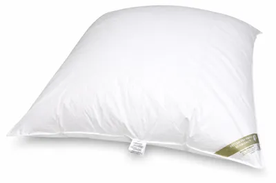Produktbild von Betten Hofmann Winter Oberbett Daunenbett Ballonbett 155x220 cm 2000 g 100% neue Daunen warm