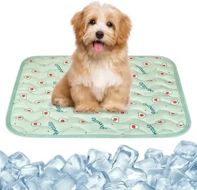 Produktbild von Kühlmatte für Hunde, Selbstkühlende Hundematte, Sommer Kühlkissen, Weiche Schlafmatte für Hunde Katzen, Waschbare Atmungsaktive Kühlmatte für Haustiere, für Drinnen, Draußen, Auto (60 x 50 cm)