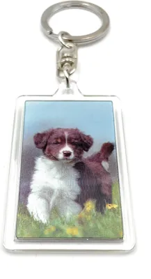Obrázok produktu pre Onwomania - Puppy Dog Baby Dogs - 3D kovový prívesok na kľúče, ideálny ako darček napr. pre najlepšieho priateľa, najlepšiu priateľku, mamu - Pre mužov, ženy a deti