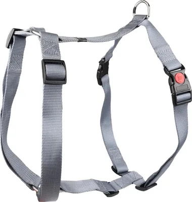 Produktbild von Flamingo Geschirr Ziggi grau, Größe: XL / Breite: 25 mm