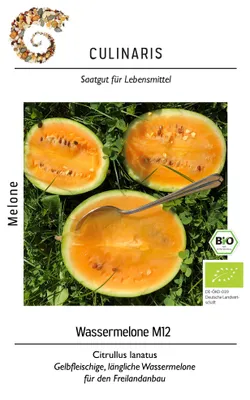 Artikelbild 1 von 'BIO Wassermelone M12' aus der Kategorie Wassermelonensamen