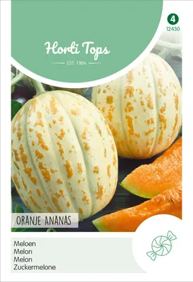 Artikelbild 2 von 'Zuckermelone Orange' aus der Kategorie Zuckermelonensamen