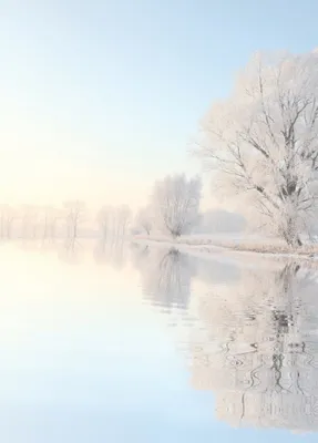 Produktbild von Motivpapier Briefpapier (Wintersee-5061, DIN A4 100 Blatt) See im Winter mit am Ufer stehenden verschneiten Bäumen