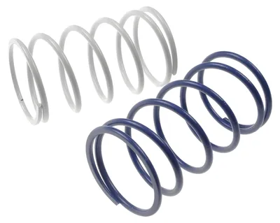 Obrázek produktu pro Zpruží pro tlumiče Polini Evolution SpeedDrive o průměru 107 mm, určené pro Yamaha Aerox 50 Cat