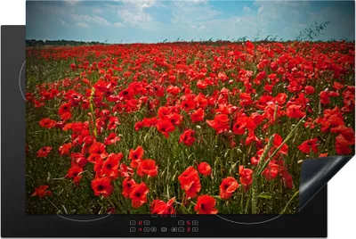 Produktbild von KitchenYeah© Herdabdeckplatte Eine Wiese voller Mohnblumen , 81x52cm, Küche Deko, Glaskeramikkochfeld Herdabdeckung, Abdeckplatte fùr Kochfeld