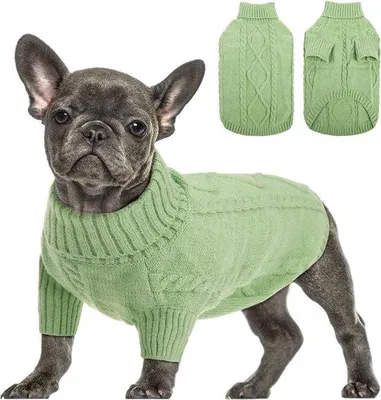 Immagine prodotto di Giacca per cani taglia piccola