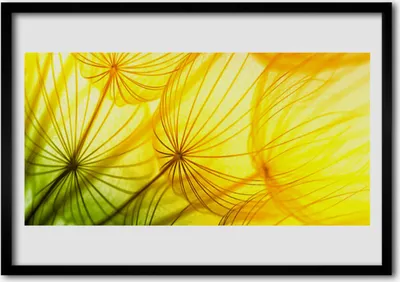 Produktbild von Bild 100x70 MDF-Rahmen Wandkunst Löwenzahn Blumen Natur