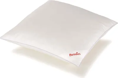 A white pillow is shown on a white background.