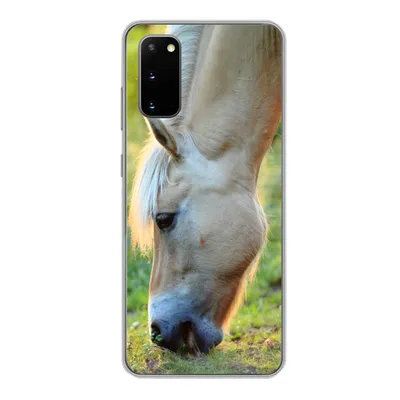 Produktbild von MuchoWow® Handyhülle Schutzhülle Hülle für Samsung Galaxy S20 Weidendes Fjordpferd an einem Sommertag Silikon Softcase Handy Hülle - Bild
