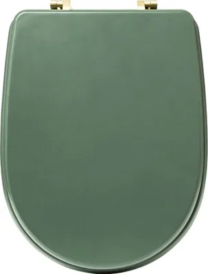 A top-down view of a closed toilet seat.