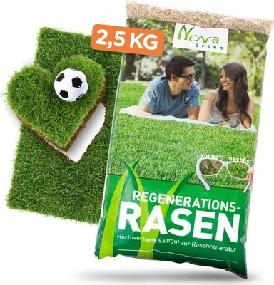 Produktbild von Premium Rasensamen Nachsaat schnellkeimend 2,5kg=75-100m² Reparaturrasen, schließt extrem schnell Lücken im Gras I Dichte, extra grüne Rasenfläche